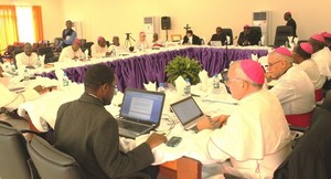 Bispos abordam extensão do sinal da Ecclesia no 2º dia da plenária 