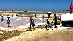 Demolições das salinas: tribunal supremo quer reapreciação da decisão do tribunal