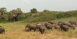 Angola esta pela primeira vez, no mapa mundial das reservas da biosfera da UNESCO