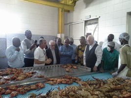 Bispos da CEAST constatam realidade da Industria Pesqueira no Namibe 