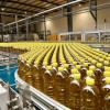 Luanda ganha fábrica de óleo alimentar