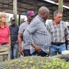 Sem máquinas, sem produção, governador de Malanje reconhece colapso agrícola
