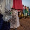 ONU estima que insegurança alimentar deve aumentar em 22 países