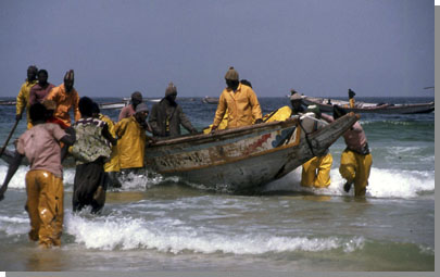 senegal254620